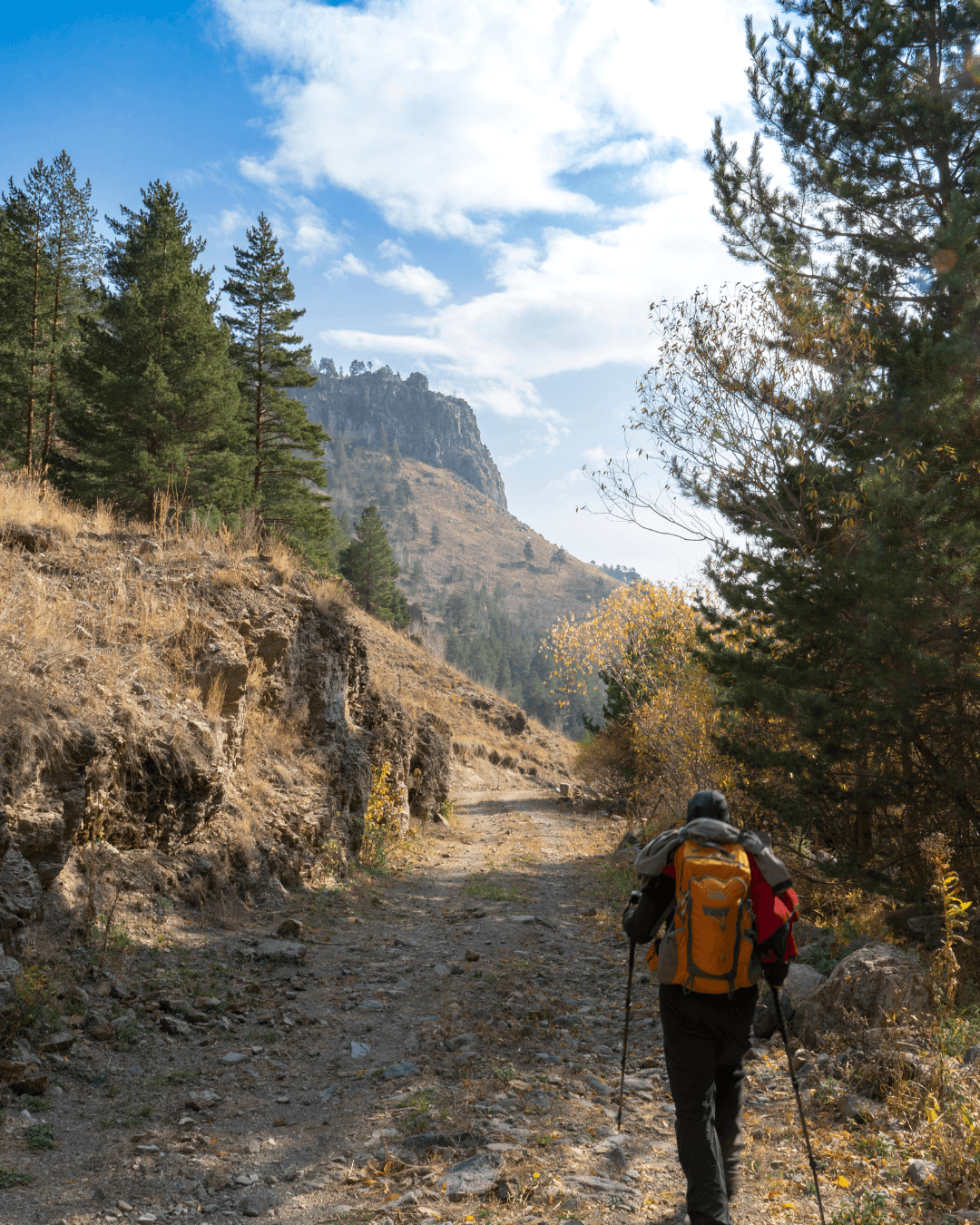 Rutas de naturaleza: Aventuras primaverales en auto